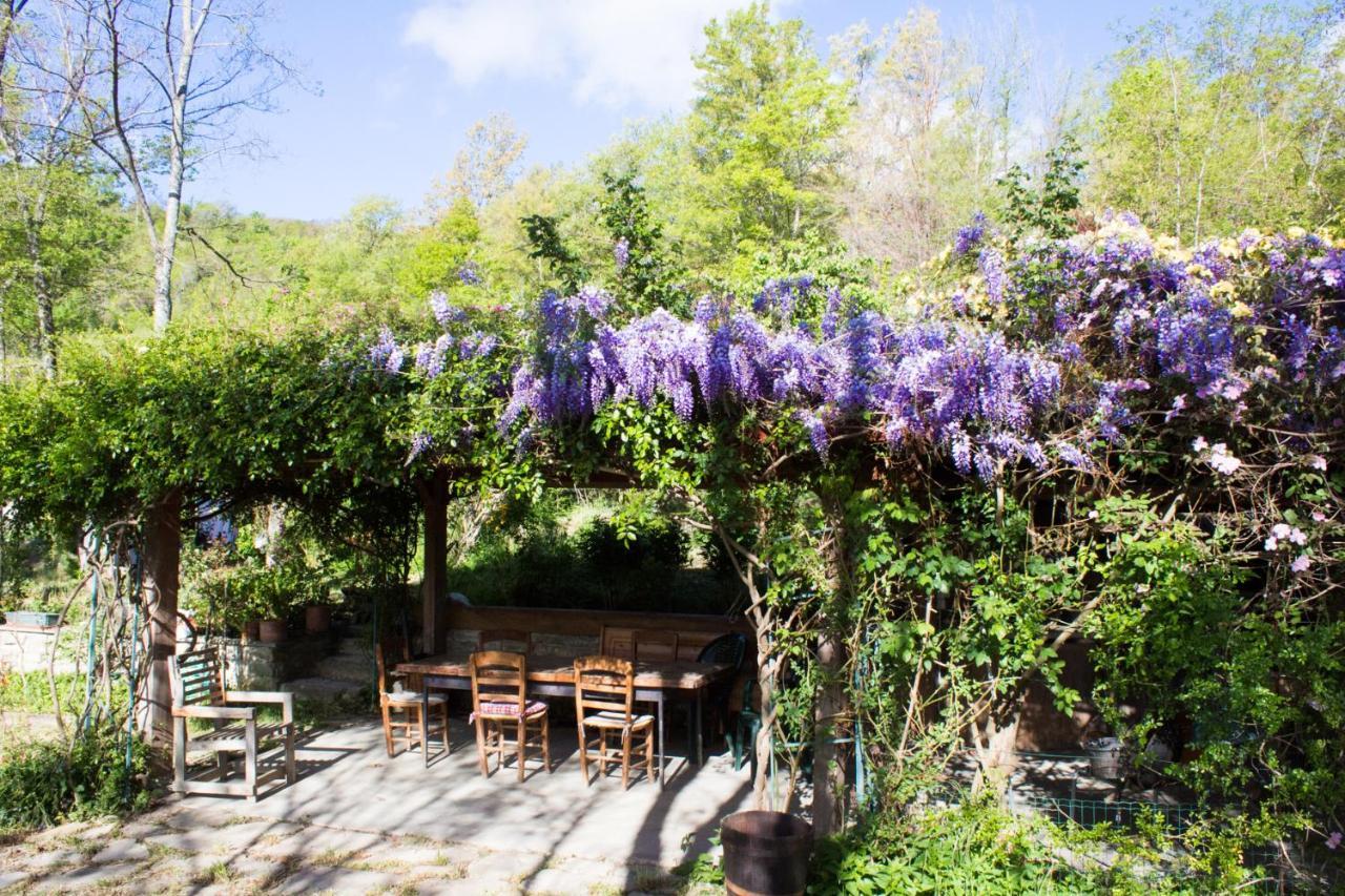Camugnano La Cavanella B&B מראה חיצוני תמונה